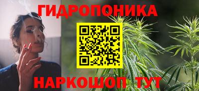альфа пвп Владикавказ