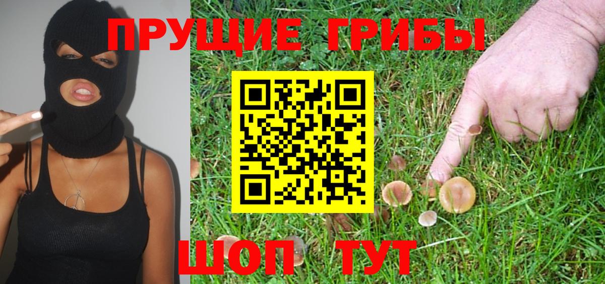Псилоцибиновые грибы мицелий Выборг