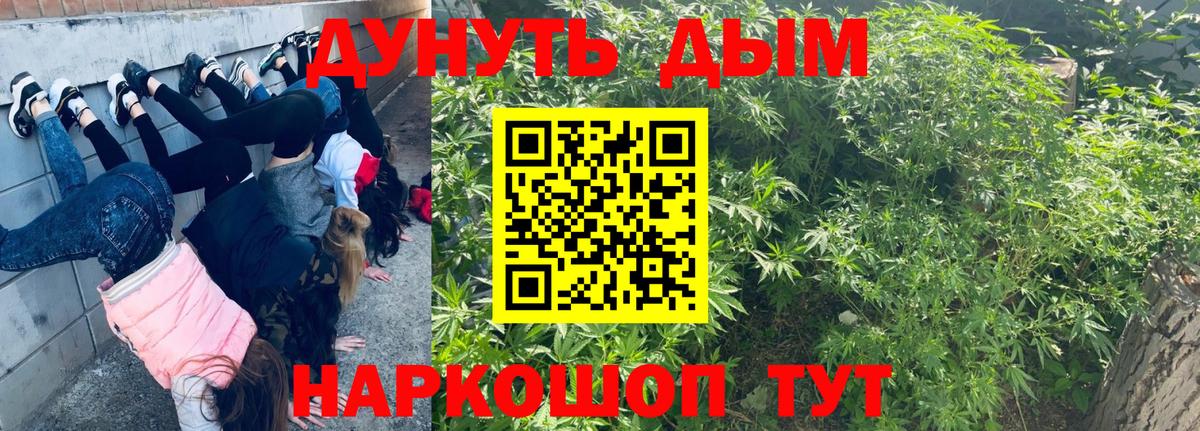 Бошки Шишки MAZAR  Вход с VPN  МАРИХУАНА LSD WEED  Выборг  Бошки Шишки OG Kush 